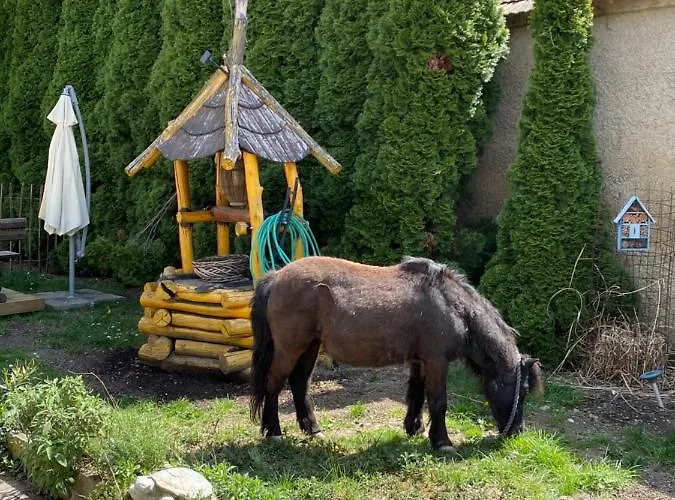 Karin Vakantiehuis Schonabrunn